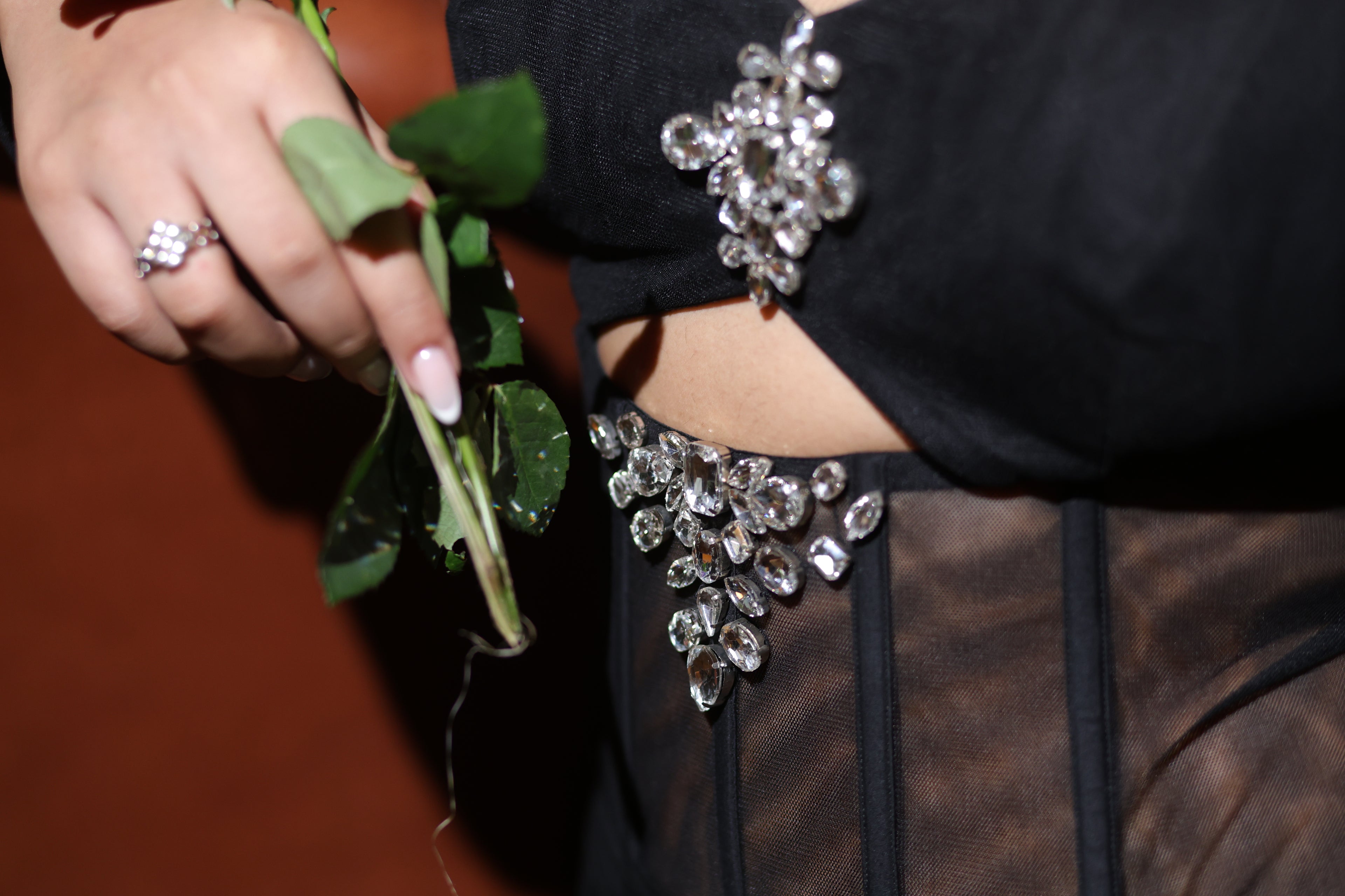 Lunar Armour Corset Dress